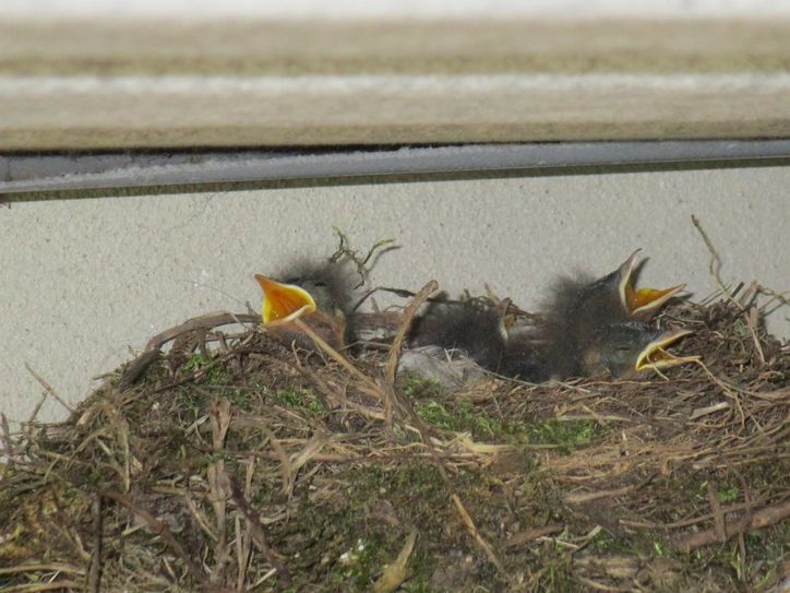 Foto: privat