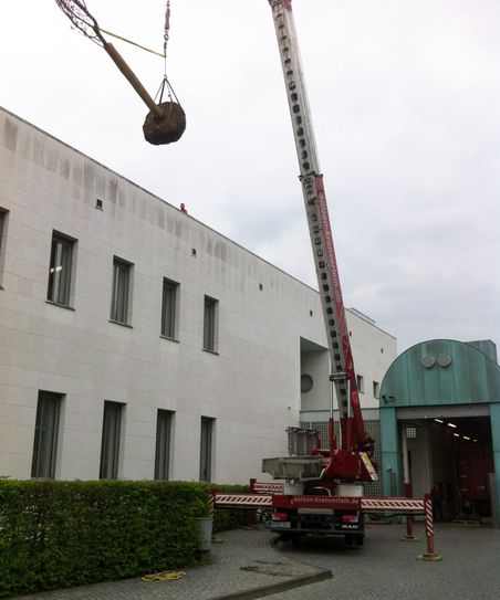 Mittels Kranwagen schweben die Pückler-Parkgehölze auf das Dach der Bonner Bundeskunsthalle. Foto: Friedrich Meiberth