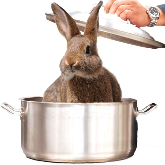 Foto: Montage hgb, fotolia