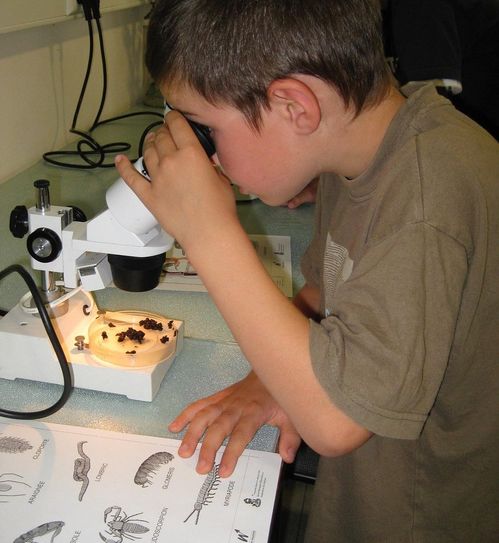 Egal ob kleine oder große Forscher - für jeden gibt es etwas zu entdecken.
