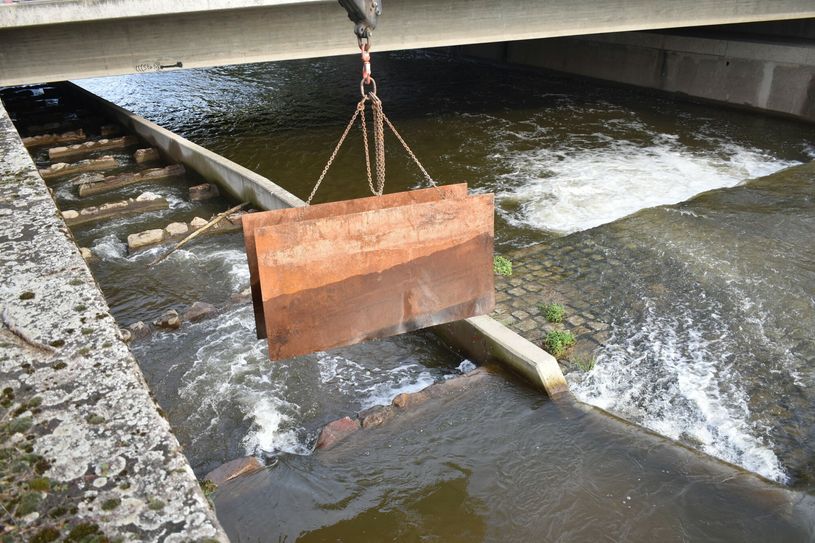 Mit dem Hochziehen der Sperre wurde heute die Fischtreppe von der Weißeritz in die Elbe (Hamburger Straße) eröffnet. Foto: Mike Schiller