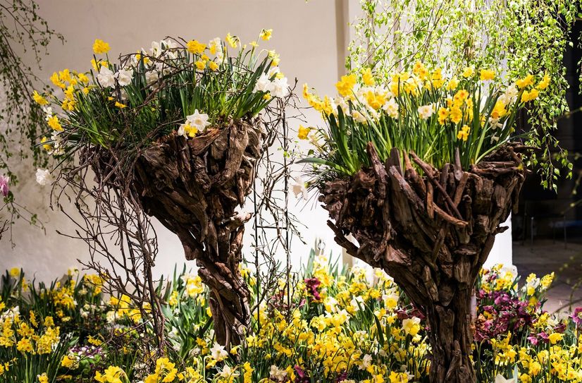 "Dresdner Frühling im Palais"