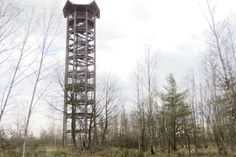 Vom 34 Meter hohen Haselbergturm haben Besucher einen großartigen Überblick über das Naturschutzgebiet.