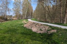 Teil der Umleitungsstrecke des Radweges Lübbenau - Boblitz.