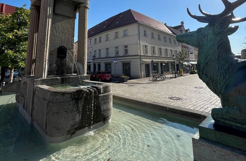 Auch der imposante Diana-Brunnen auf dem Großenhainer Hauptmarkt darf nicht zum Baden genutzt werden.