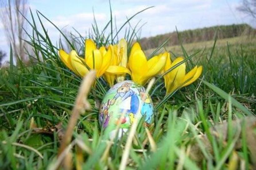 Gefunden.... Ein Osterei in der Wiese.