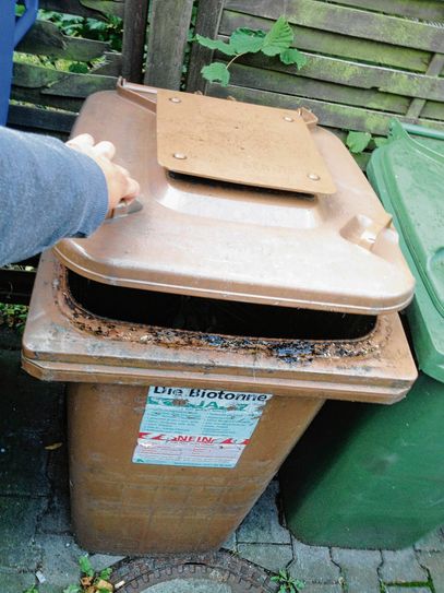 Der Zweckverband verzichtet bis 2021 auf die Entleerungsgebühren für die Biotonne. Foto: Schramm