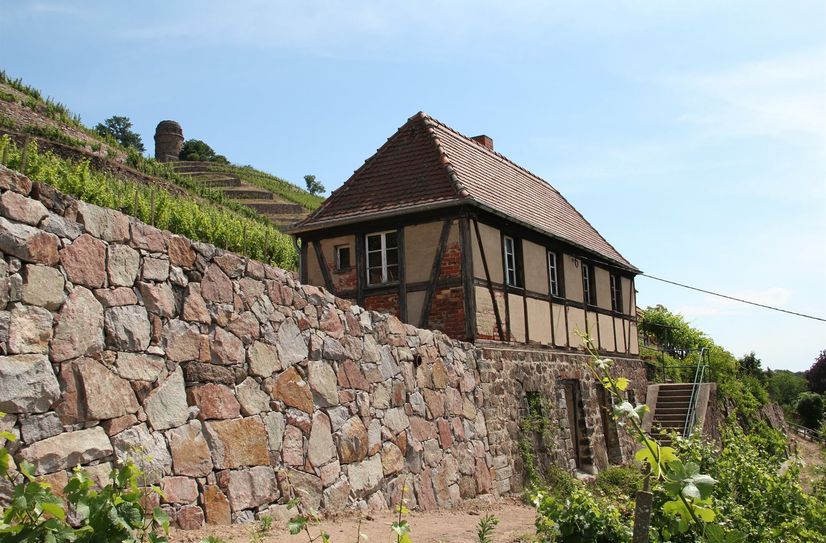 Winzerhaus im Goldenen Wagen.