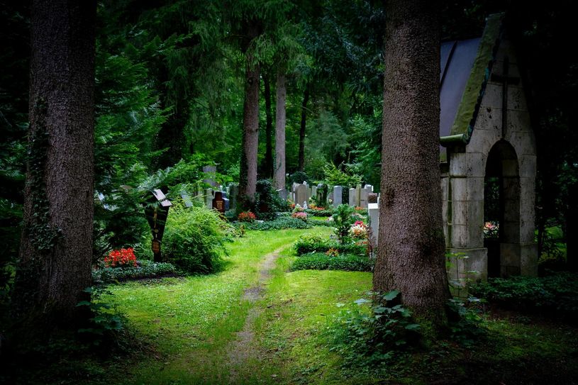 Symbolbild. Die Stadt Bischofswerda lädt zu einer Gedenkfeier am Neuen Friedhof am Schmöllner Weg ein.