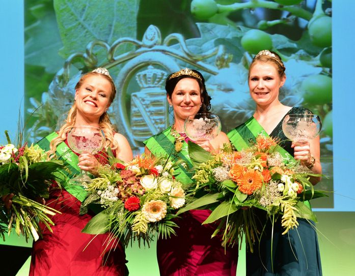 Sachsens Weinhoheiten für die Saison 2019/2020 (v.l.n.r.): Jenny Zumpe, Katja Böhme, Ann-Kathrin Schatzl. Foto: Kahle/ Weinbauverband Sachsen