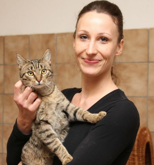 Wer möchte dieser Katze ein Zuhause geben? Foto: jho
