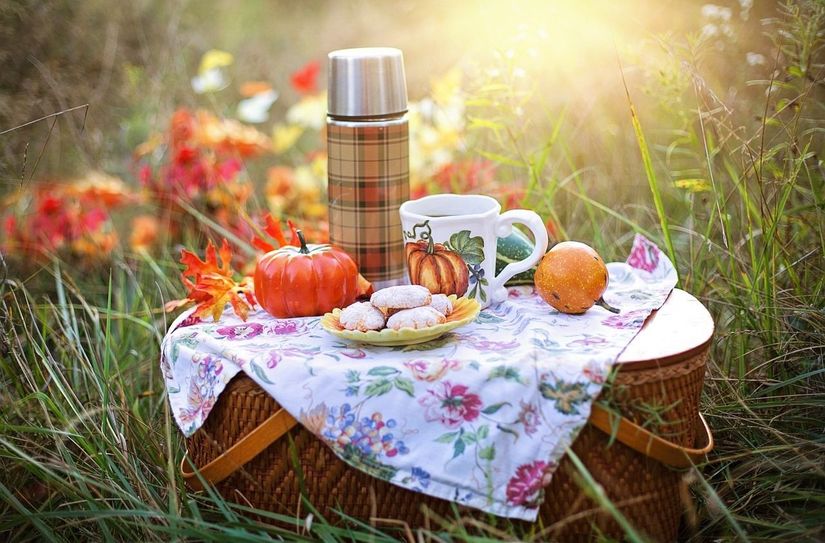Ein Picknick in der Natur.