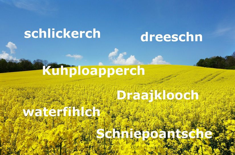 Die Bekanntgabe der Oberlausitzer Wörter des Jahres erfolgt auf einer Veranstaltung zum Oberlausitztag um den 21. August. Unter allen, die sich an der Abstimmung beteiligen, werden mehrere Oberlausitzer Wörterbücher verlost.