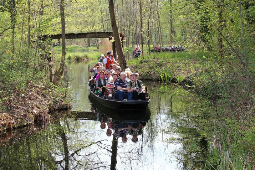 Seit 25 Jahren auf Erfolgkurs: Kahnfahrten gehören traditionell zum Spreewald. Foto: Archiv/sts