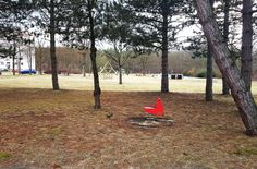 Der Skaterplatz in Vetschau soll mit den Menschen vor Ort gemeinsam neu gedacht werden.