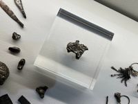 Panzerreiter an seinem neuen Platz.