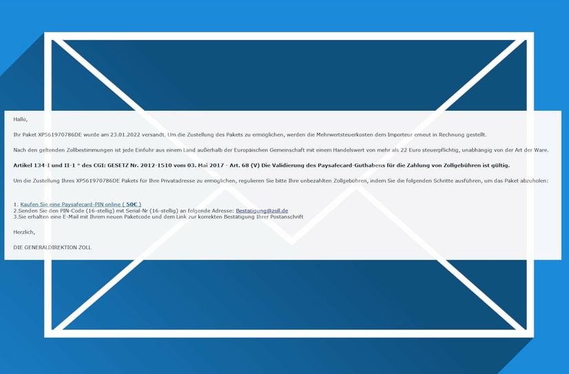 So sieht die Betrüger-E-Mail aus. Gefordert wird, dass angebliche Zollgebühren per Paysafecard gezahlt werden.