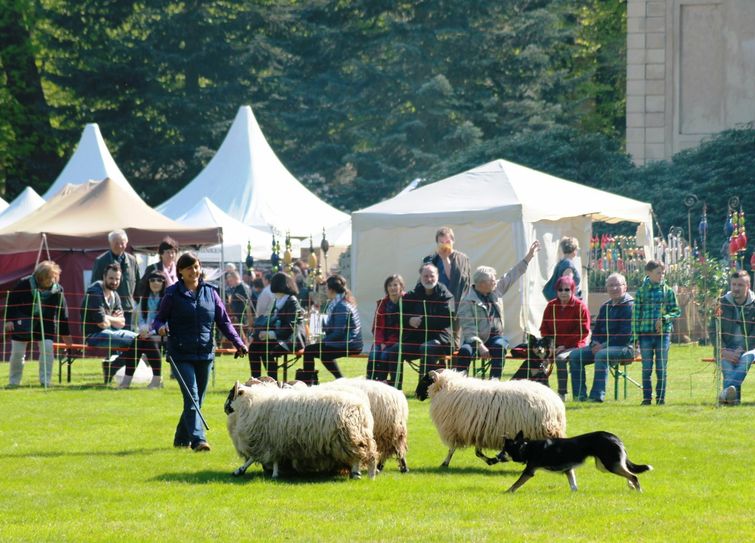 In Moritzburg steigt die Landpartie, u.a. mit Vorführungen. Foto: PR