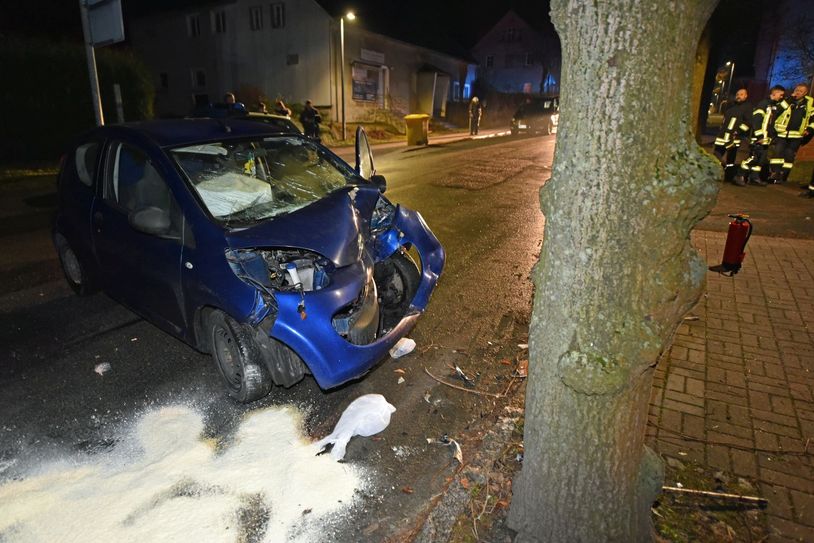 F.: lausitznews