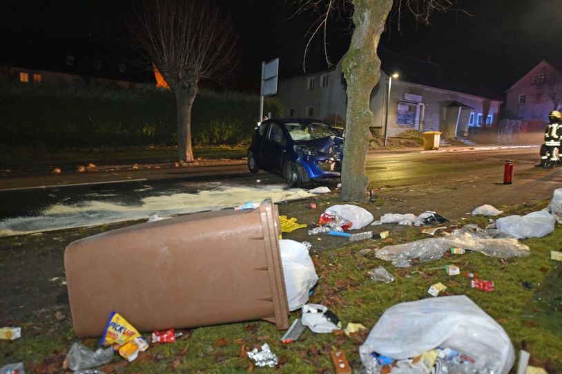 F.: lausitznews