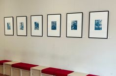 Kreitels »Cyanotypien« sind aktuell in der Bibliothek Dresden-Neustadt zu sehen.