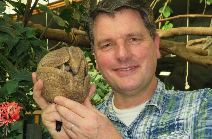 Zoo-Leiter Eugene Bruins mit einem der Gürteltiere aus dem Zoo Hoyerswerda.