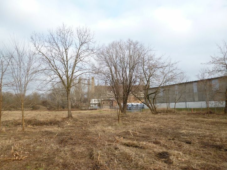Zustand der Fläche im Jahr 2016 auf dem das Trainingszentrum entstehen soll. (Copyright: STESAD GmbH)