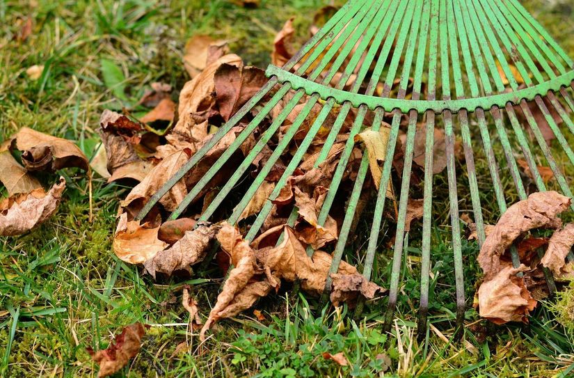 Wer bei "Weißwasser räumt auf" mit anpacken will, kommt am 12. November um 9 Uhr an einen der vier Sammelpunkte: Tierpark, Vereinspavillon Sorauer Platz, Volkshaus und Evangelischen Kirche.