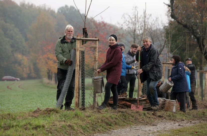 Mitglieder der Philippuskirchgemeinde Lohmen haben kürzlich gemeinsam mit Helfern Obstbäume an der alten Kirschallee in Rathewalde gepflanzt.
