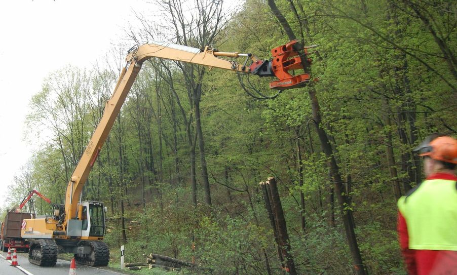 Von den Gehölzschnittverboten ausgenommen sind beispielsweise Verkehrssicherungsmaßnahmen. Foto: Schramm