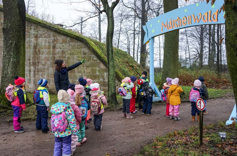 In der Adventszeit können im Festungswald der Festung Königstein bunte Märchenfiguren entdeckt werden.