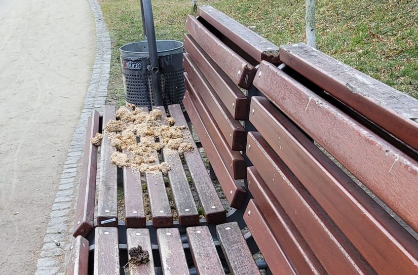 Kein schöner Anblick.