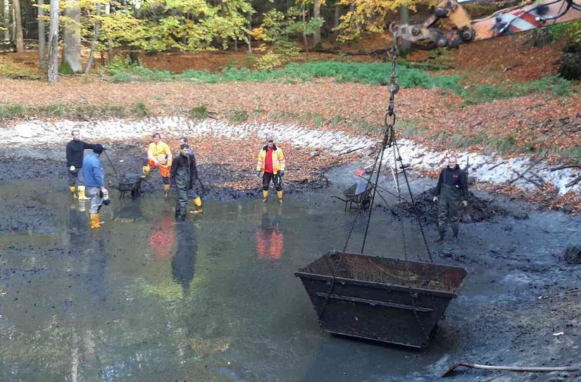 Aufgrund des hohen Laubanteils im Teich auf dem Großen Winterberg musste der Schlamm mit viel Handarbeit herausgeschaufelt werden.