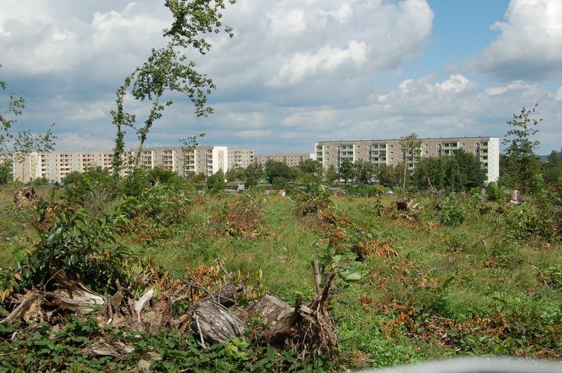 Auf dem Kupferberg.
