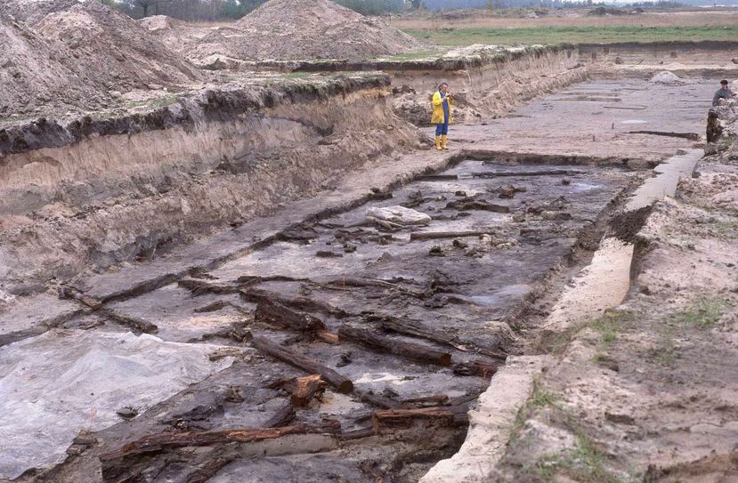 Die Fotos des Brandenburgischen Landesamtes für Denkmalpflege und Archäologisches Landesmuseum (BLDAM) thematisieren die Veränderung und Nutzung von Landschaft. Hier „Dryas Kiefernwald“: In der Dryaszeit, der Endphase der letzten Eiszeit vor 11.000 Jahren, wuchsen mächtige Kiefern in der Niederlausitz. Ausgegraben wurden diese landschaftsarchäologischen Zeugnisse im Tagebau Cottbus-Nord. Foto: BLDAM