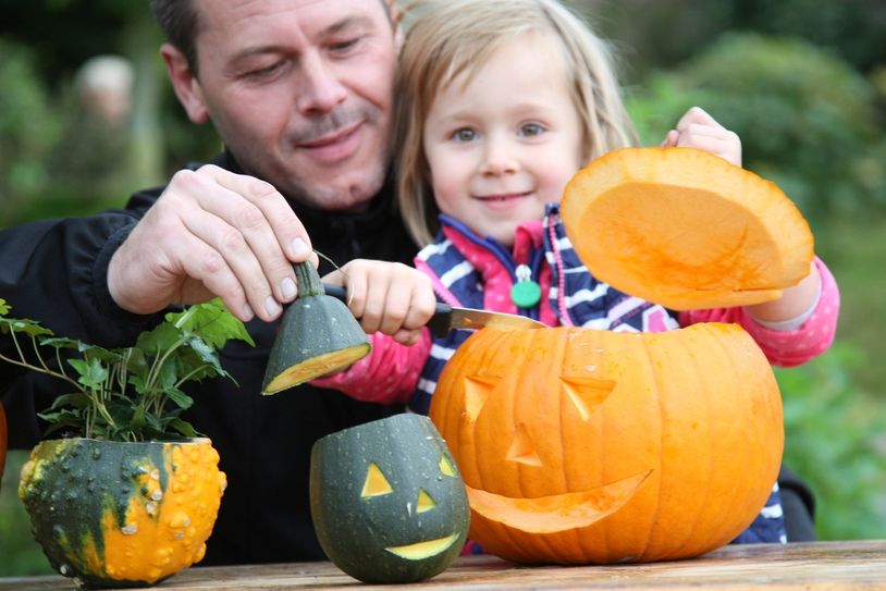 Im Miniaturpark „Die kleine Sächsische Schweiz“ teigt am Sonntag ein Herbstfest. Foto: D. Förster