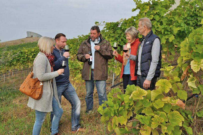 Andreas Wobar (Mitte) führt Gäste durch seinen Weinberg am Großräschener See. Foto: © Tourismusverband Lausitzer Seenland, Nada Quenzel