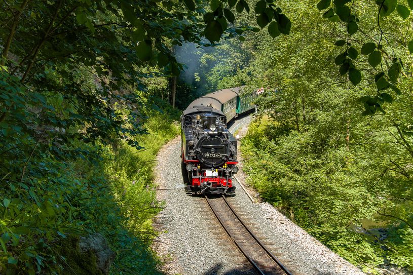 Weißeritztalbahn / Foto: Andreas Schmidt