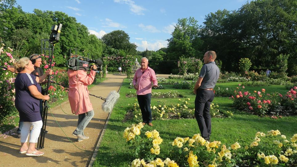 »zibb« Reporter Andreas Ulrich (2.v.r.) sprach mit dem Parkmanager Stefan Palm (r.) über Tipps zur Pflanzung und Pflege von Rosen sowie über den richtigen Sommerschnitt. Fotos: Dany Dawid