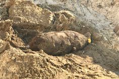 Die Fliegerbombe aus dem zweiten Weltkrieg ist erfolgreich entschärft worden.