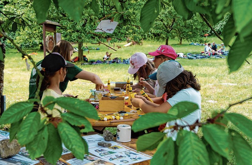 Die Umweltbildungsarbeit mit Kindern in der Natur steht meist im Mittelpunkt des Praktikums.