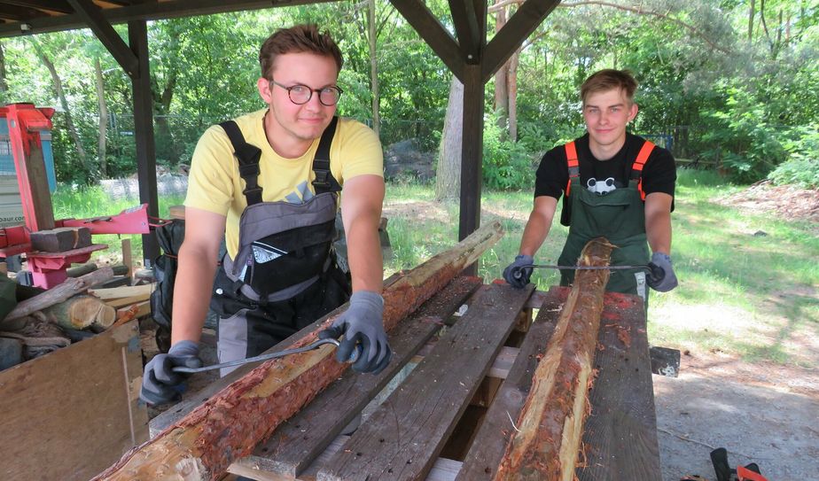 Eduard Luz (l.) und Maximilian Kerk haben im freiwilligen ökologischen Jahr viel Spaß und sind begeistert bei der Sache.