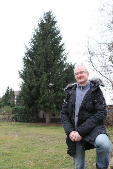 Hier steht der Weihnachtsbaum für den Markt in Senftenberg noch im Garten von Dirk Gollasch in Brieske...