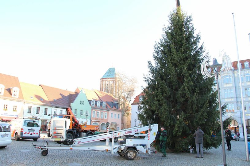 ...um dann endgültig seinen festen Platz im Stadtzentrum zu beziehen. Bis zum 6. Januar wird die Fichte den Marktplatz schmücken. Fotos: sts