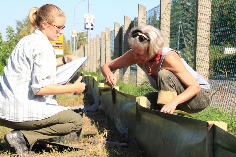 Bis Ende September soll das Umsiedlungsprojekt abgeschlossen sein. Fotos: Schramm