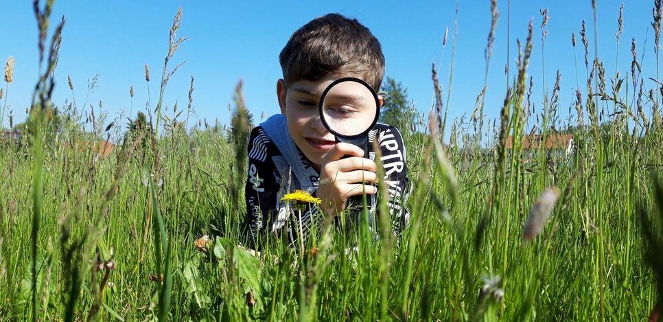 Für junge Naturentdecker haben die Waldpädagogen von Sachsenforst jetzt einige Lektionen vorbereitet. Foto: Sachsenforst