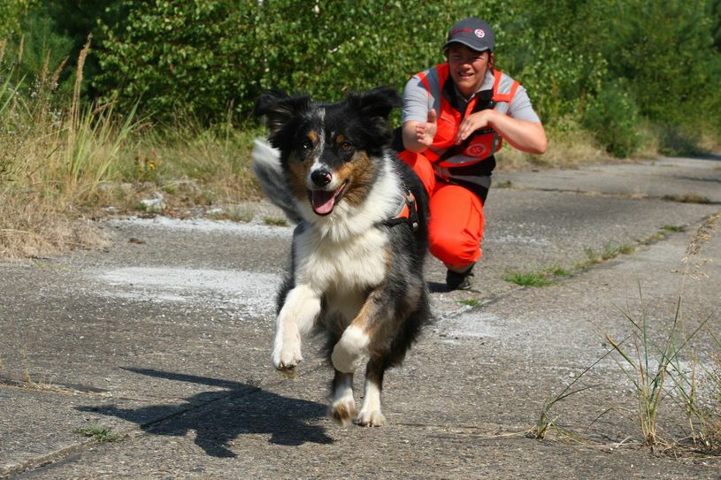 Manuela Koch ihren Australian Shepherd »Pepper« auf die Suche. Foto: Johanniter/Steffen Rasche