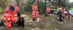 Die Mitglieder der Johanniter-Rettungshundestaffel Südbrandenburg treffen sich zweimal in der Woche zum Training. BB RADIO-Moderatorin Marlitt, Schirmherrin der neuen »Lausitz hilft!«-Aktion, schaute mit ihrem einjährigen Englischen Cocker Spaniel »Baila« vorbei. Foto: sts