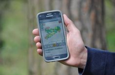 In der App »Waldbrandgefahr Sachsen« gibt es alle Infos zur aktuellen Waldbrandgefahr und zum richtigen Verhalten im Wald.