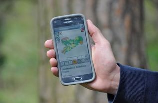 In der App »Waldbrandgefahr Sachsen« gibt es alle Infos zur aktuellen Waldbrandgefahr und zum richtigen Verhalten im Wald.